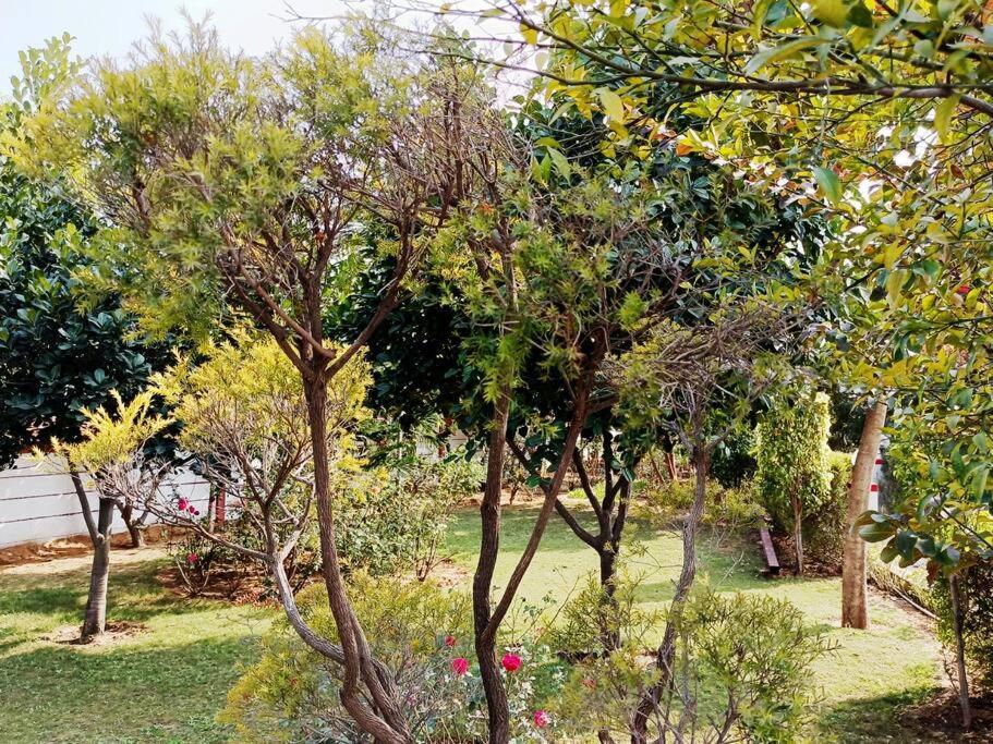 Villa Achal Farm जंगल में मंगल Gurgaon Exterior foto